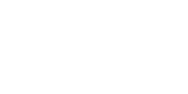 Vesonus Logo